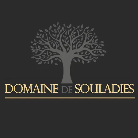 Domaine De Souladies Hébergement de vacances *